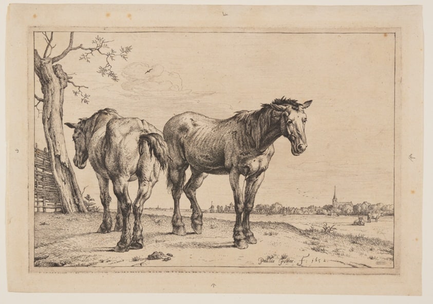 The Plough Horse, from Series of Horses