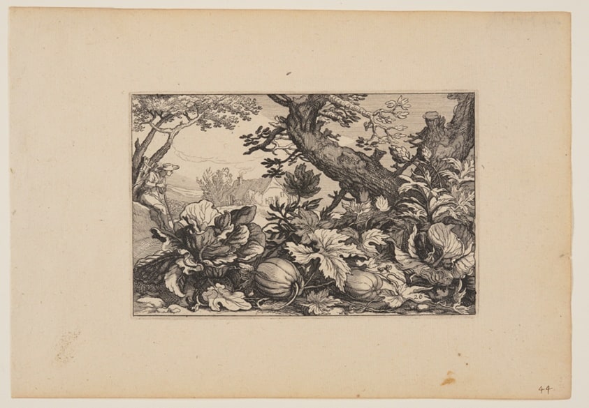 Tree and Melons, from Landscapes (Verscheyden aerdige Lanthuysen...)