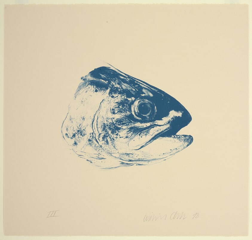 Trout