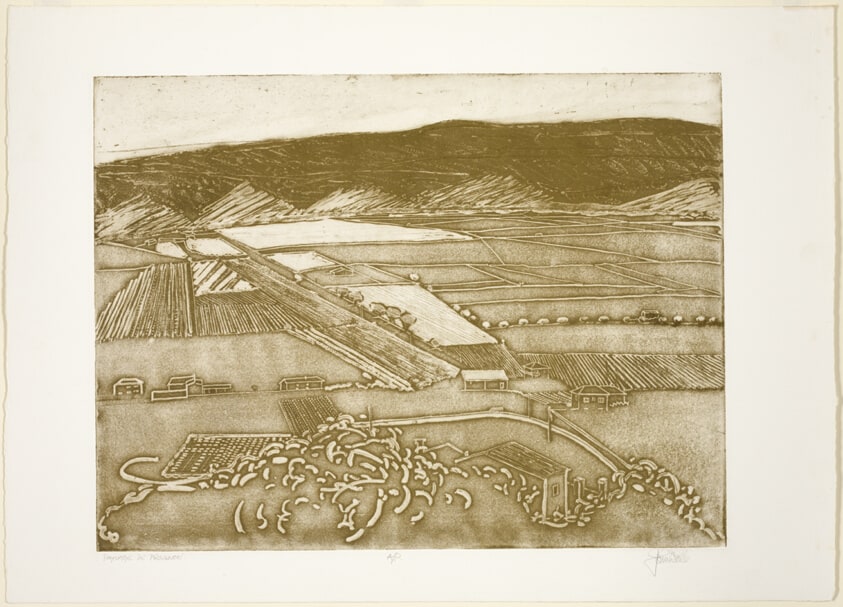Paysage De Provence