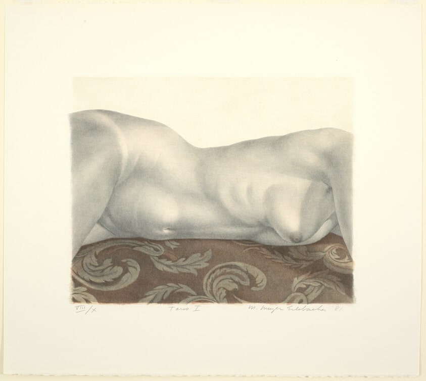 Reclining Torso I