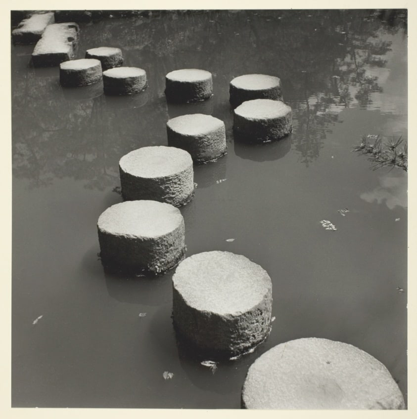 Stepping Stones in Iris Pond-Kyotot