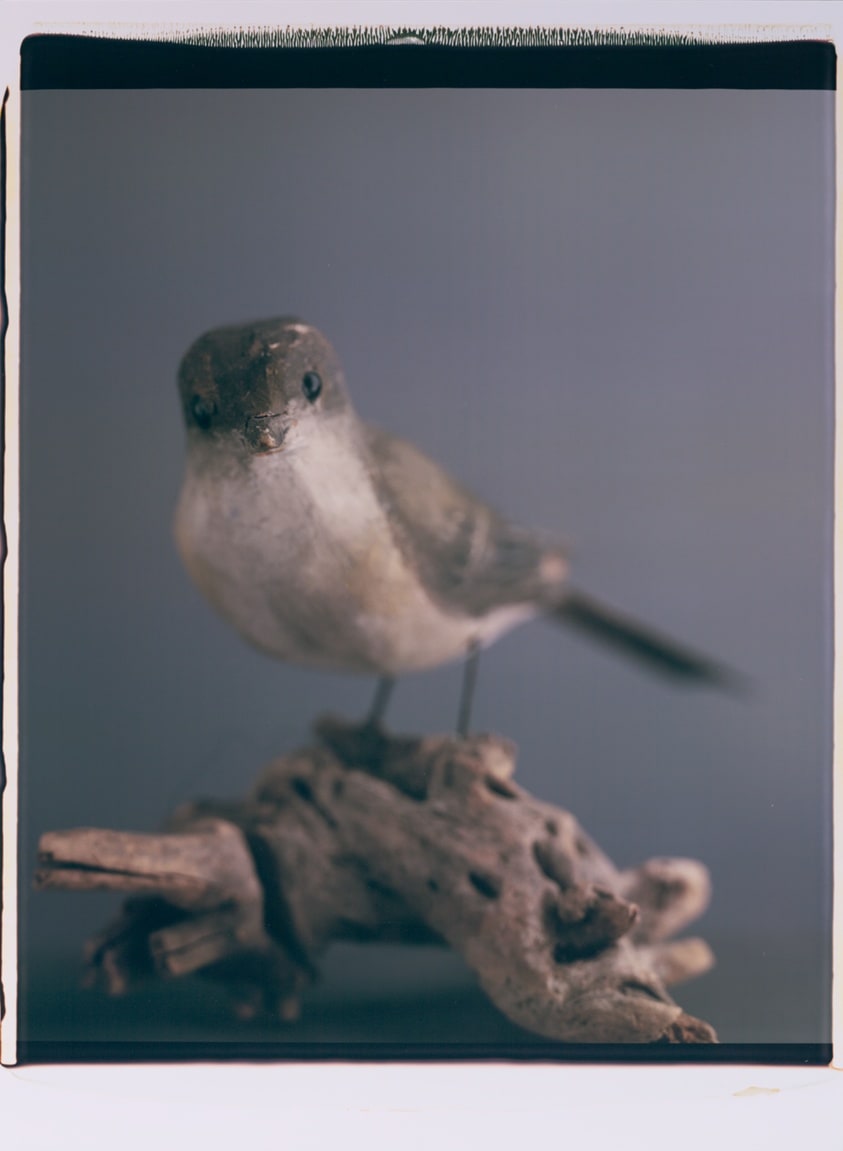 Nesting #3
