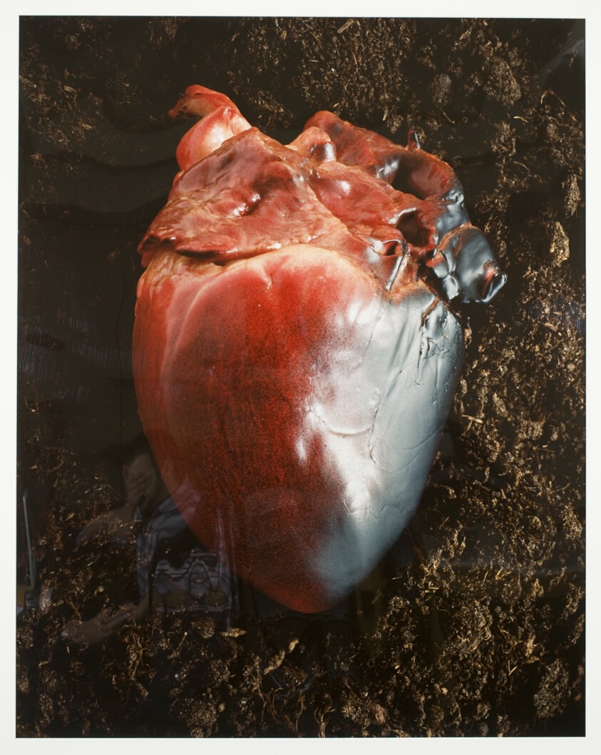 Red Heart