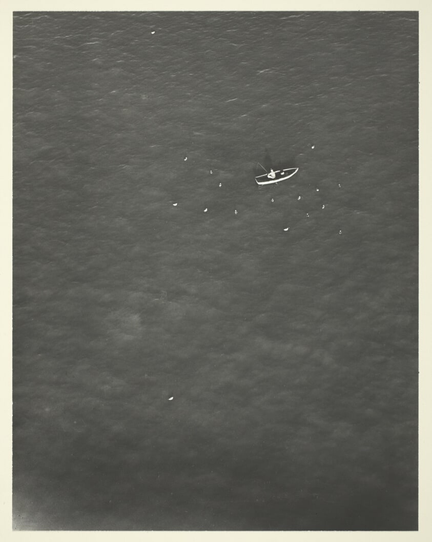 From the Roadbed of the Golden Gate Bridge