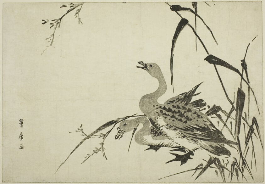 Wild Geese and Reeds