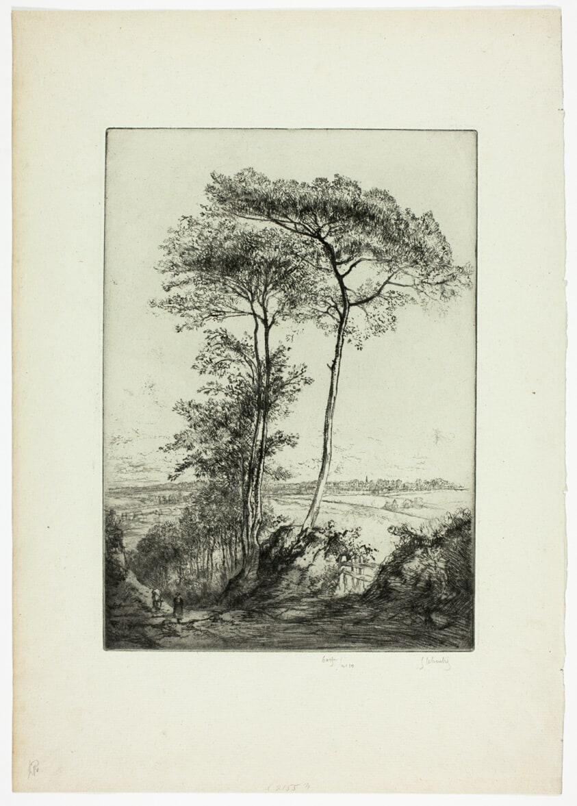 The Pines of Saint-Clet
