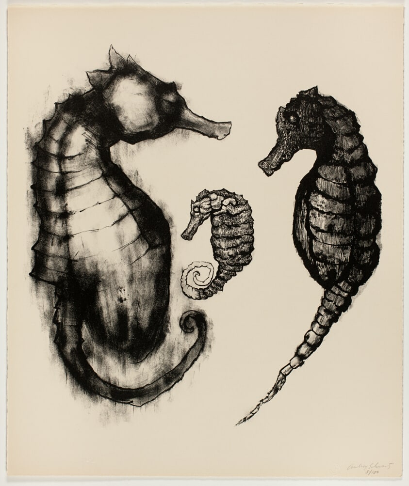Sea Horses, from A Bestiary
