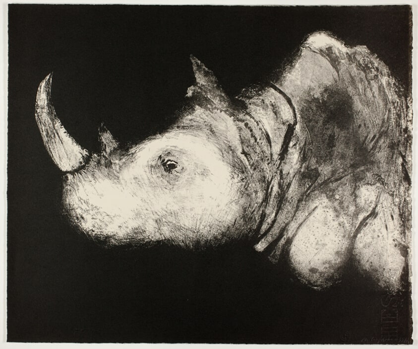 Rhinoceros, from A Bestiary
