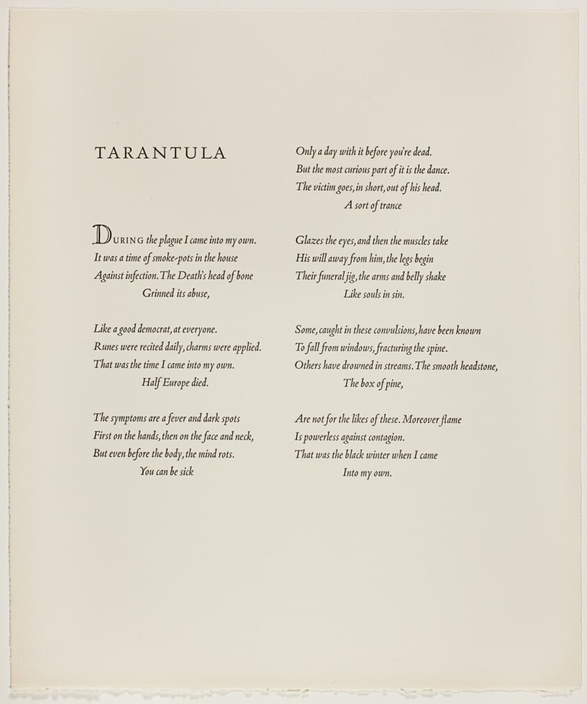 Tarantula, from A Bestiary