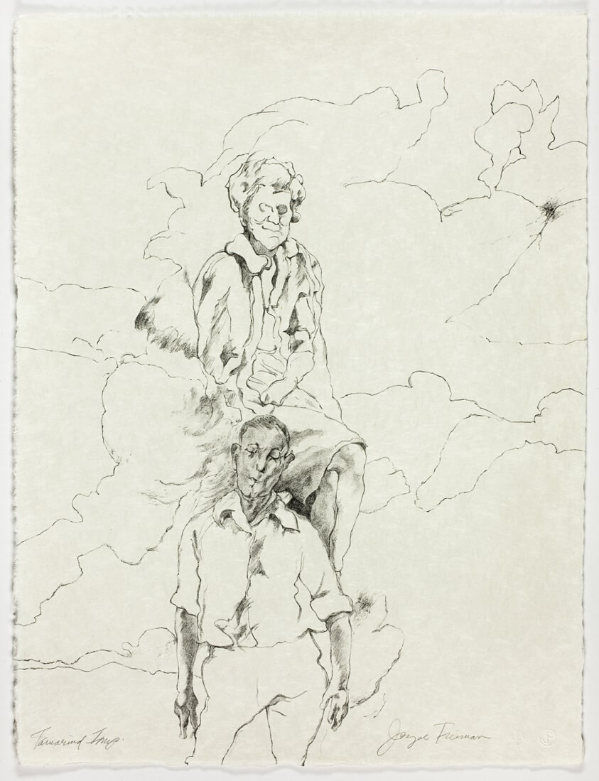 Untitled, plate IV from The Mirrored Couple