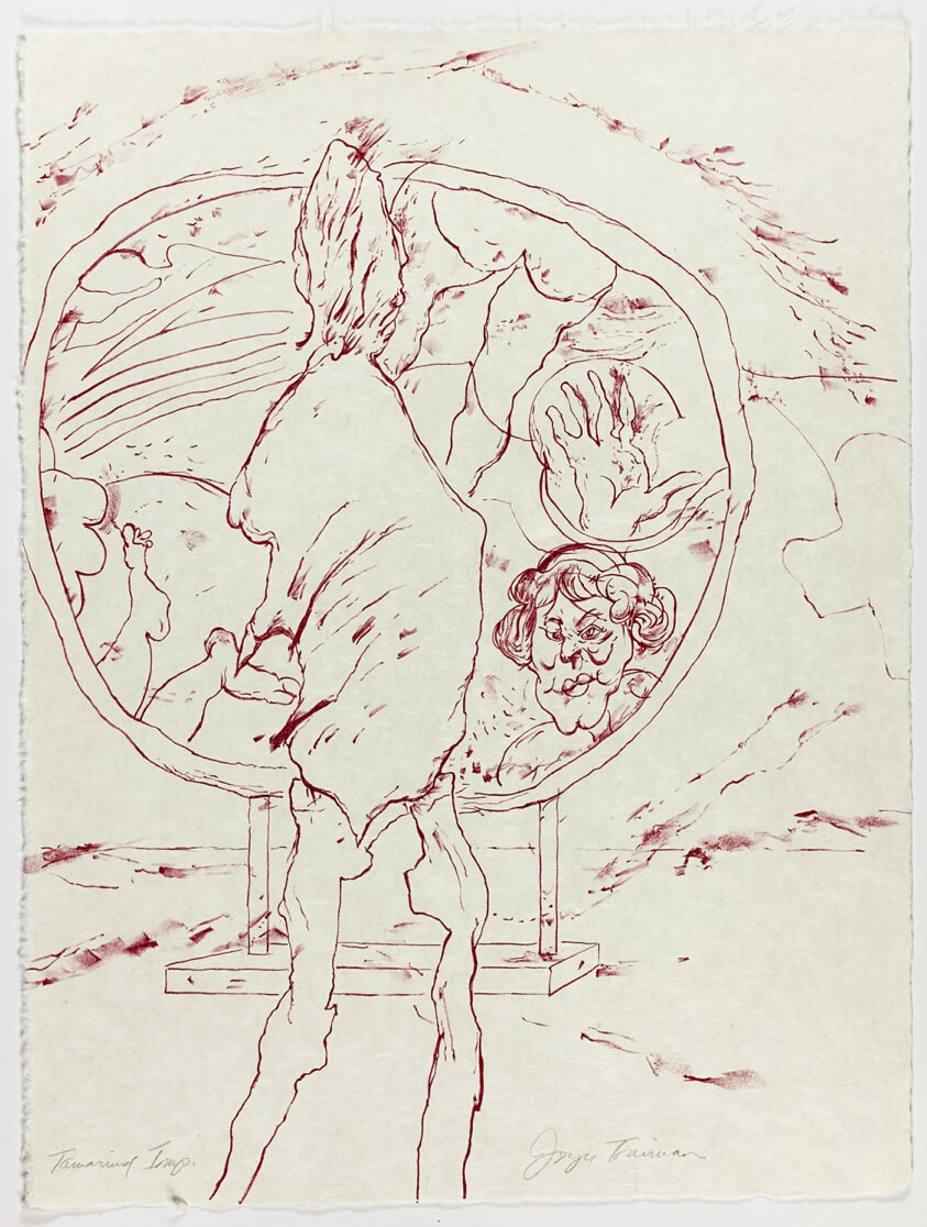 Untitled, plate VII from The Mirrored Couple
