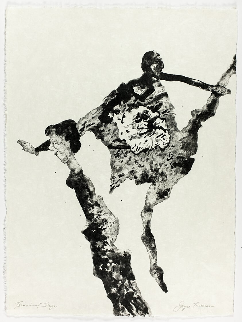 Untitled, plate IX from The Mirrored Couple