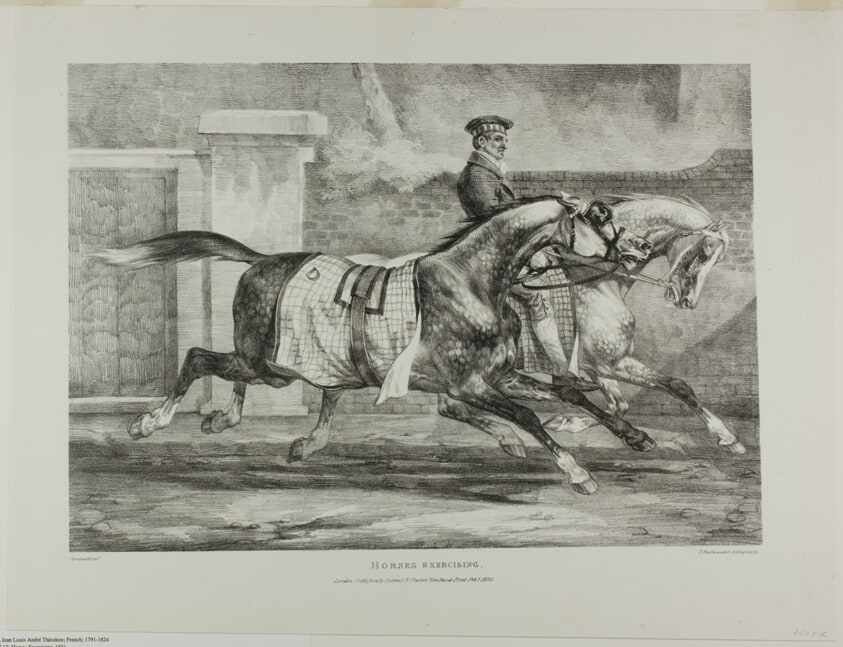 Horses Exercising, plate 6 from Various Subjects Drawn from Life and on Stone (The English Suite)