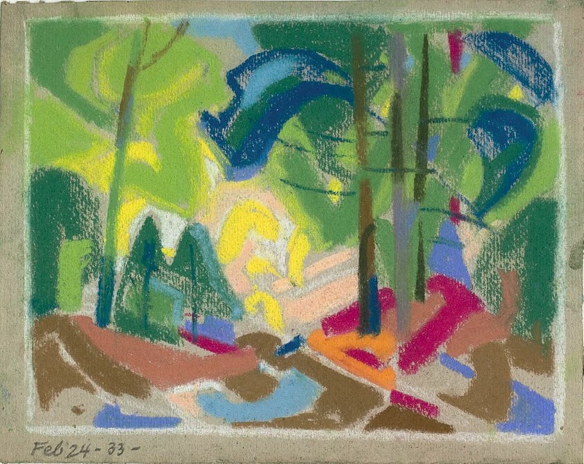 Saugatuck Woods