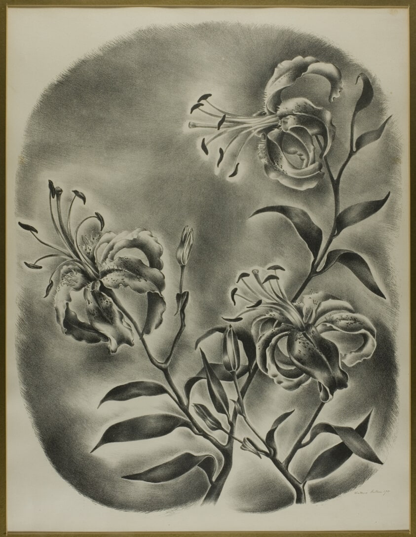 Lilies