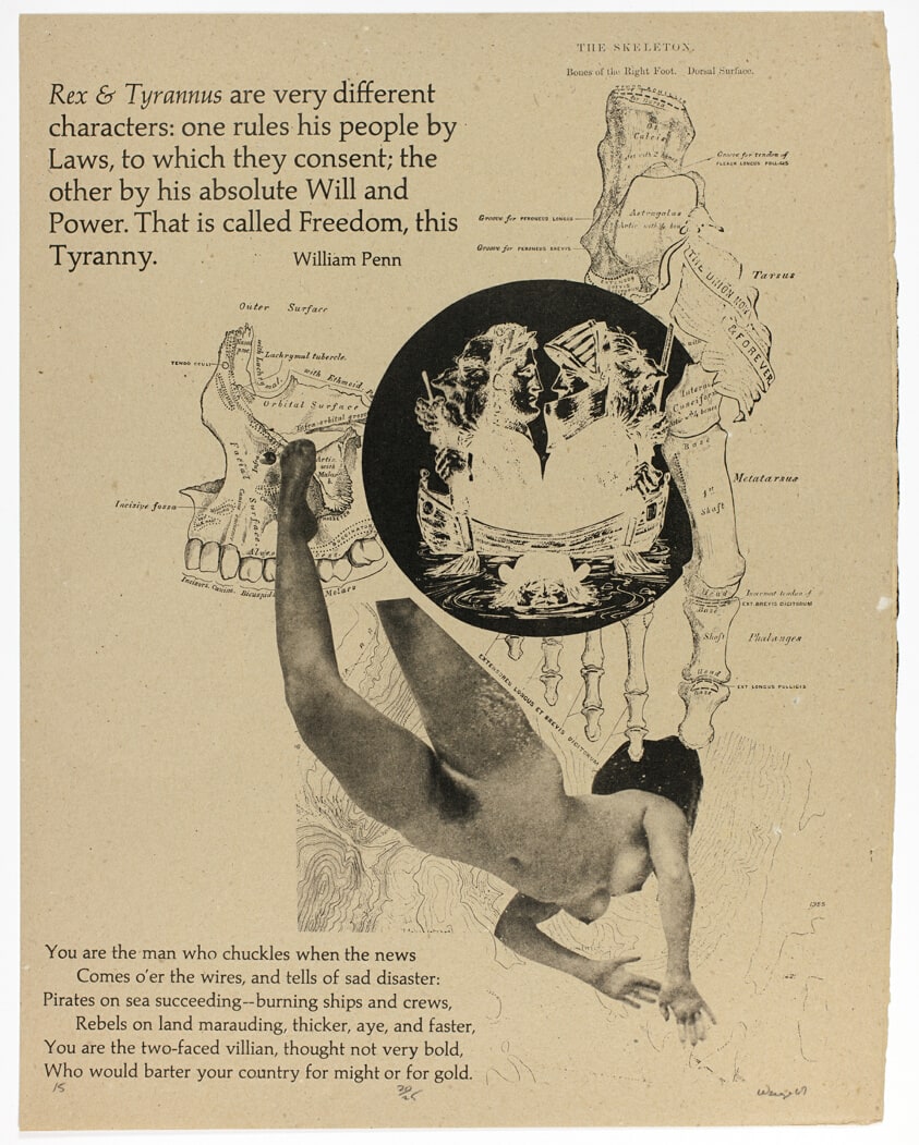 Rex and Tyrannus, plate fifteen from Peace is Patriotic