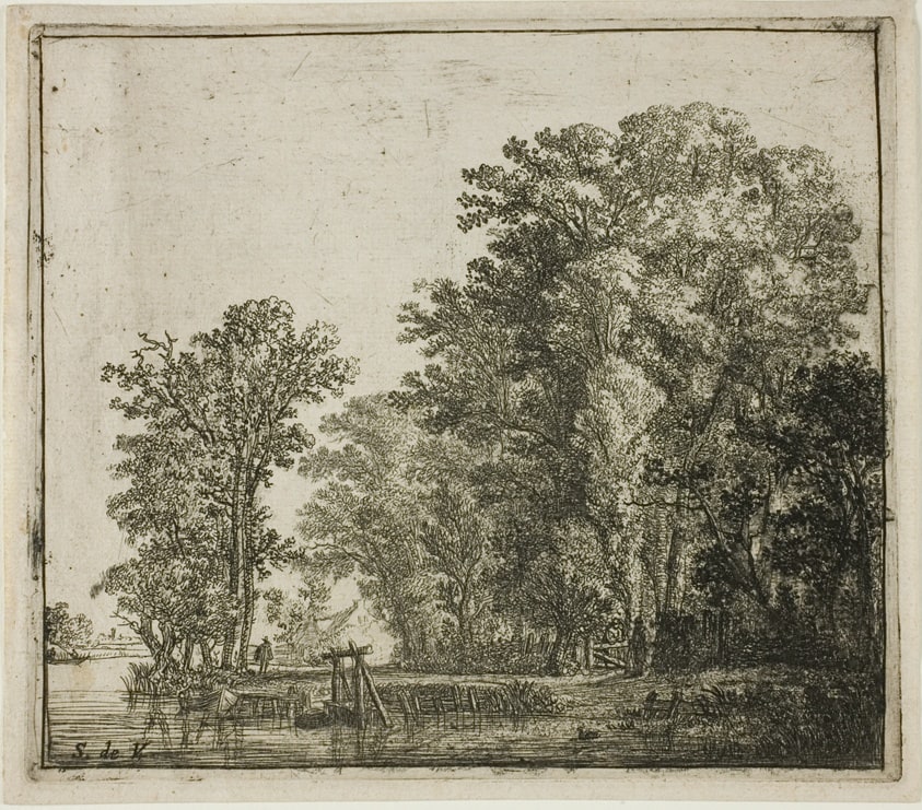 Woods Along a Canal