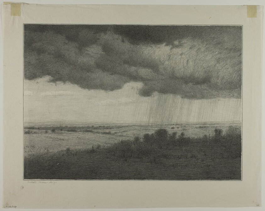 Summer Shower