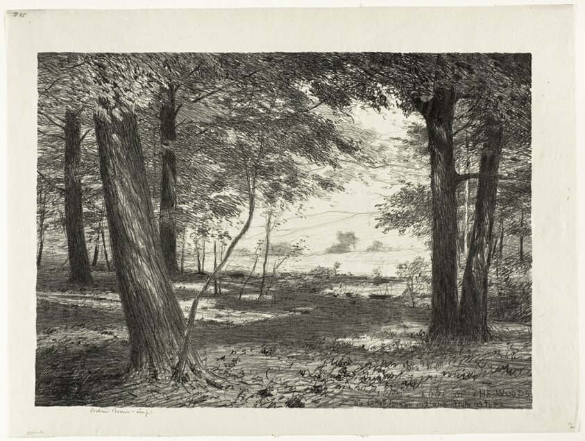 Edge of the Woods