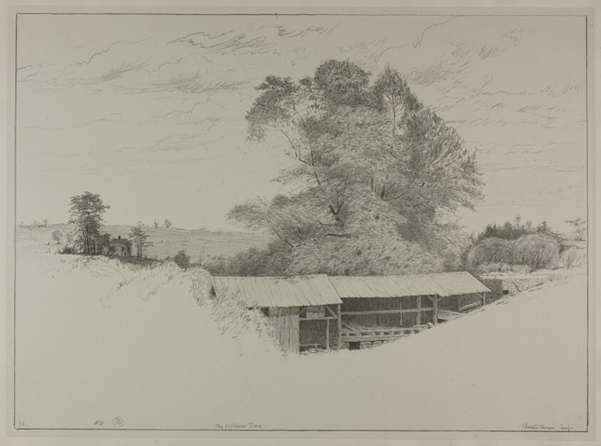 The Willow Tree