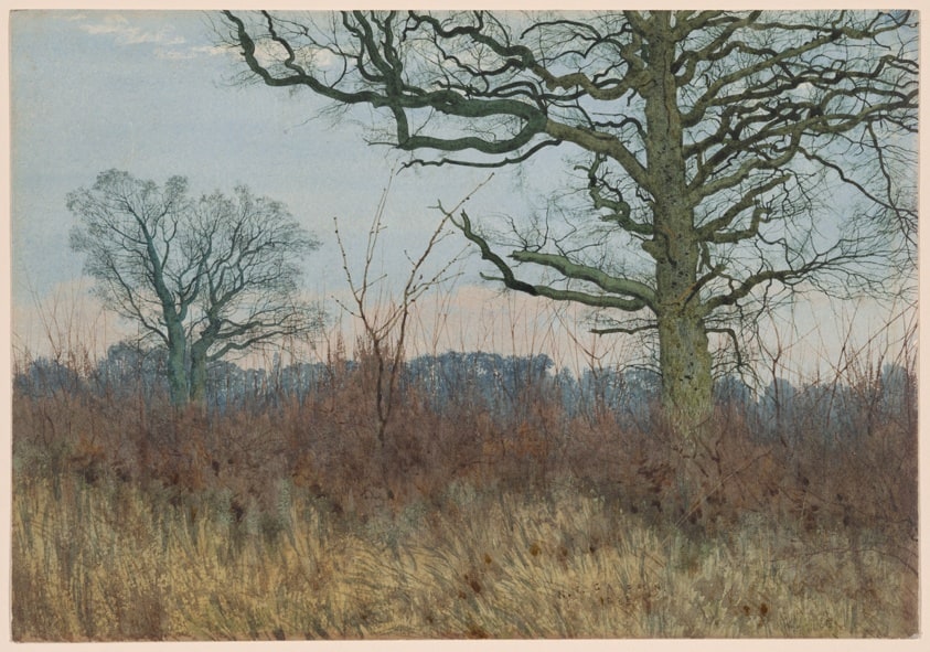 Trees in a Landscape