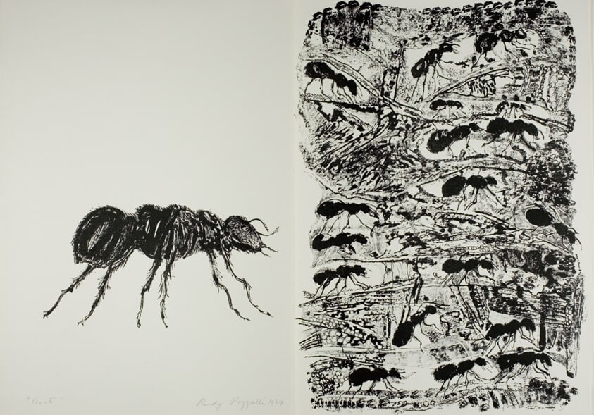 Ant, from Physiologus Theobaldi Episcopi De Naturis Duodecim Animalium