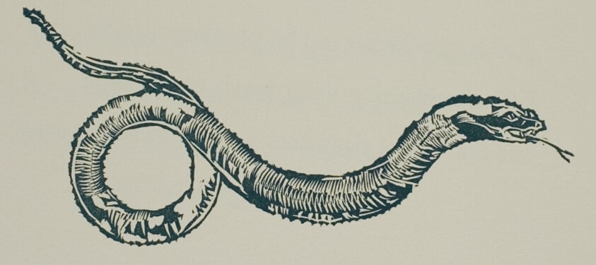 Untitled, page 28, from Physiologus Theobaldi Episcopi De Naturis Duodecim Animalium