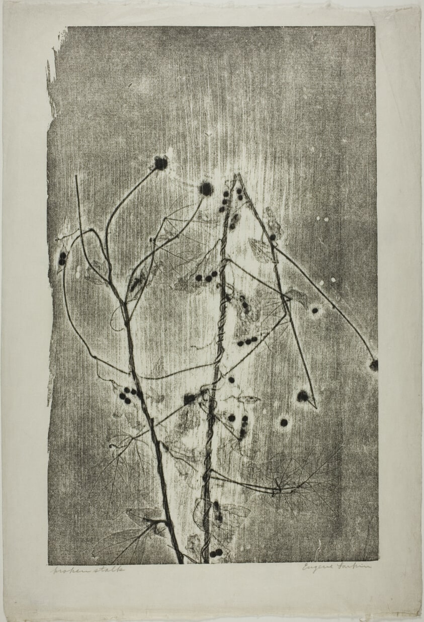 Broken Stalk