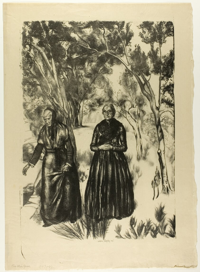 The Olive Grove