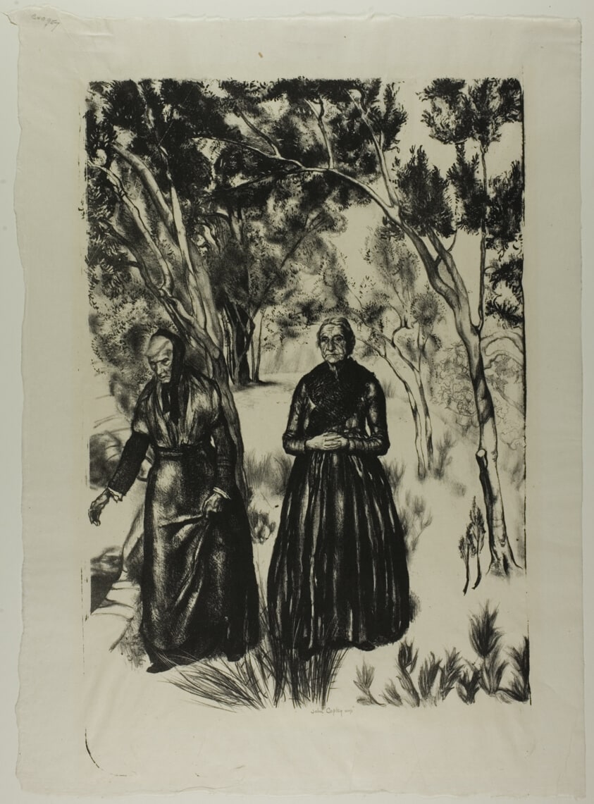 The Olive Grove
