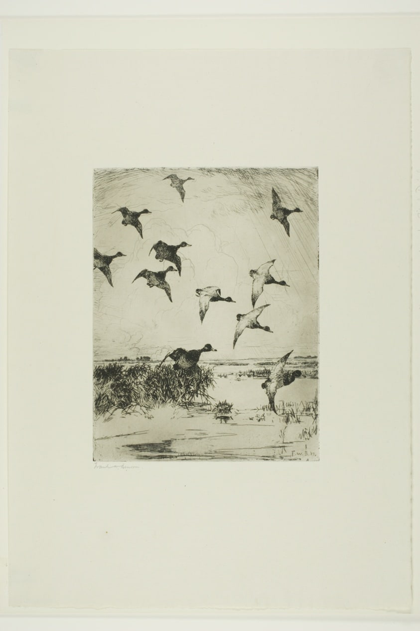Ducks Flying Over Water