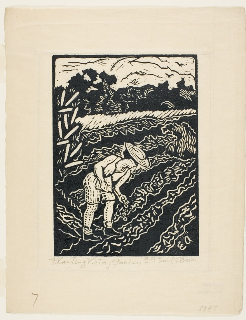 Planting Victory Garden