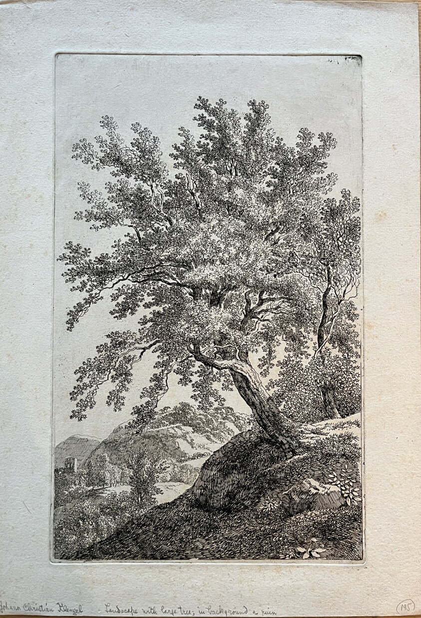 Landscape with Large Tree, in Background a Ruin