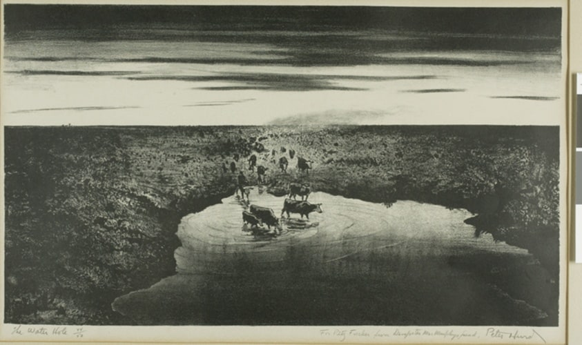 The Water Hole