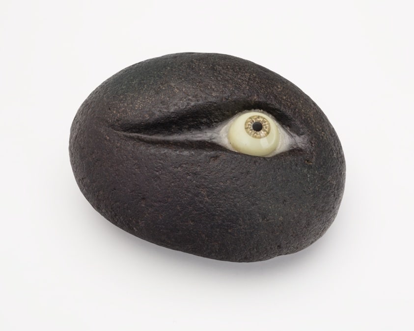 The Stone Eye: I saw (Ishi no me: watashi wa mita)