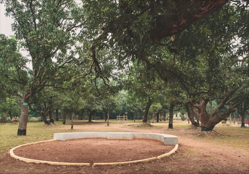 Santiniketan Studies (A Century Before Us II): Circle Study