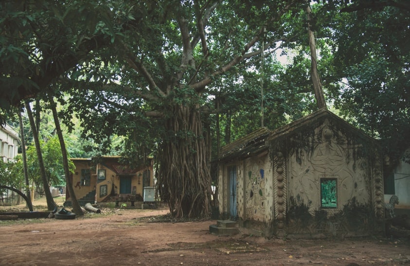 Santiniketan Studies (A Century Before Us II): Bota Briksha (Banyan Tree)