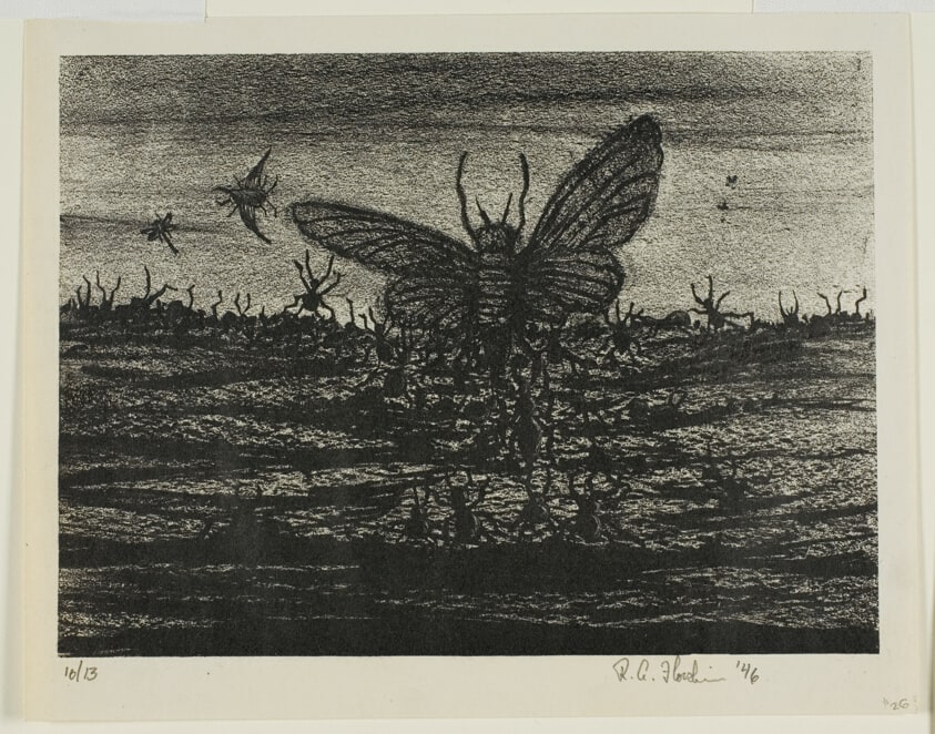Insects