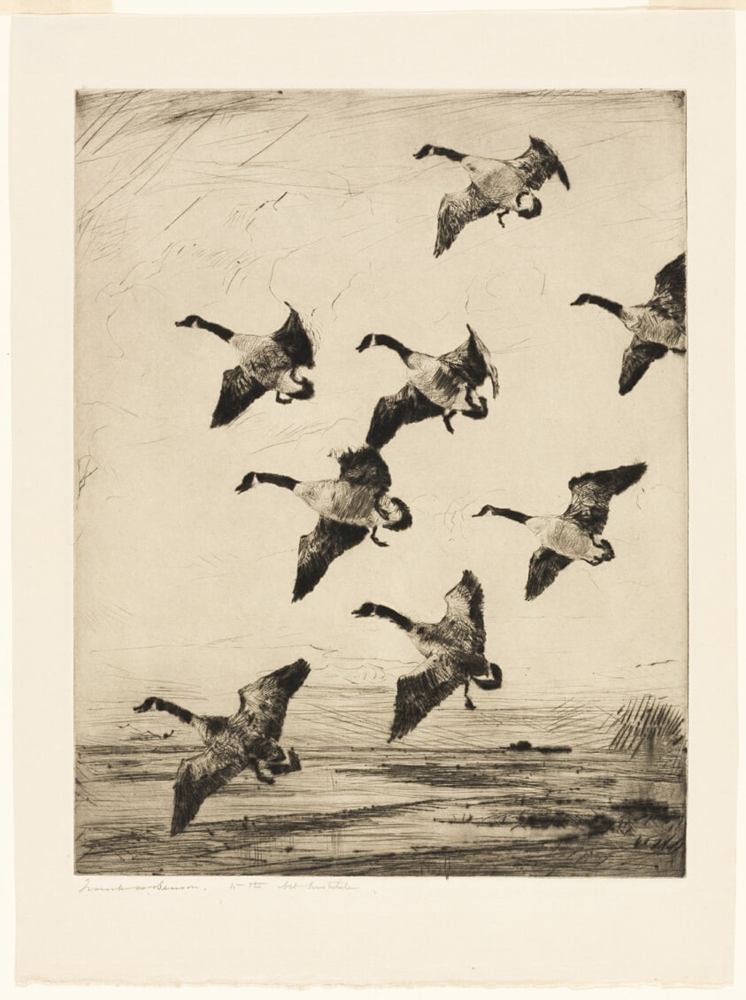 Hovering Geese
