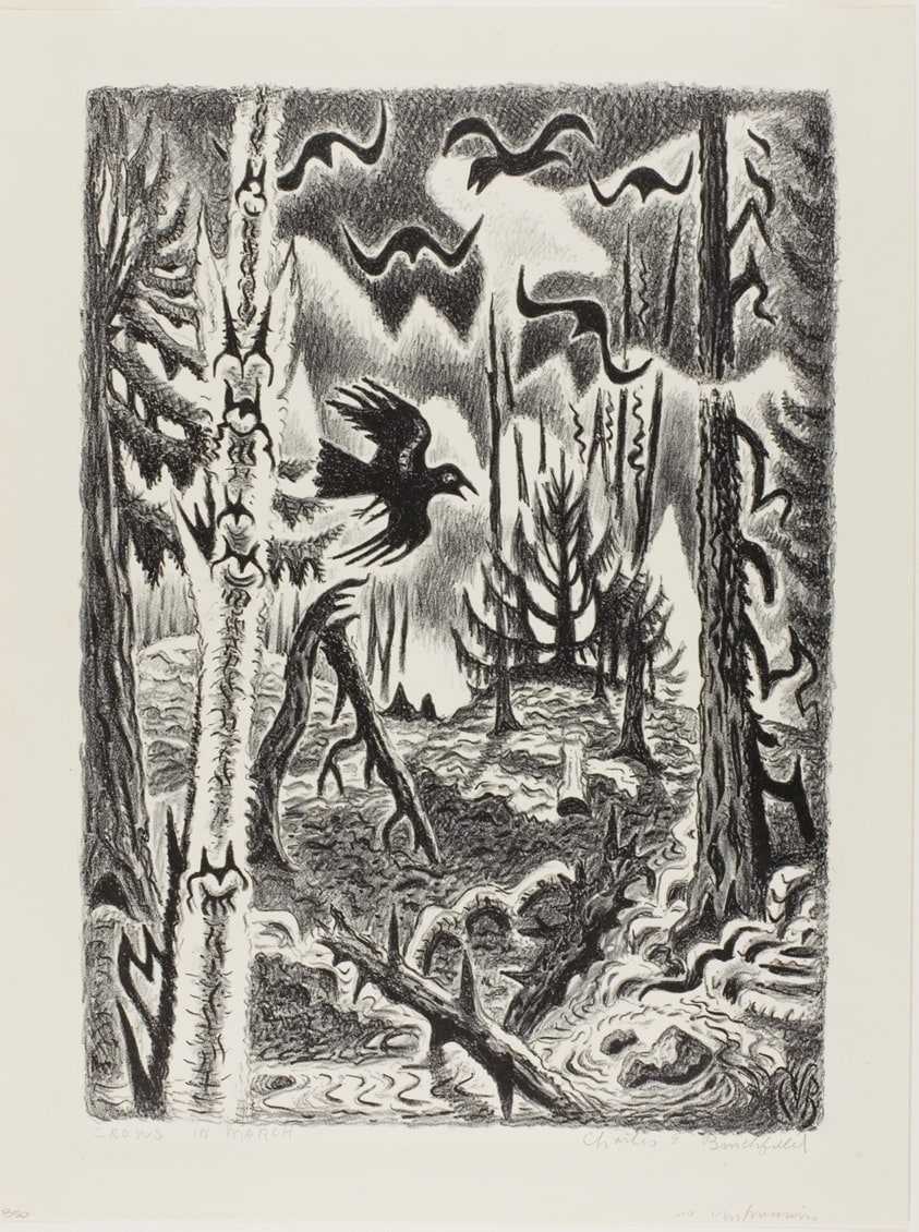 Crows in March