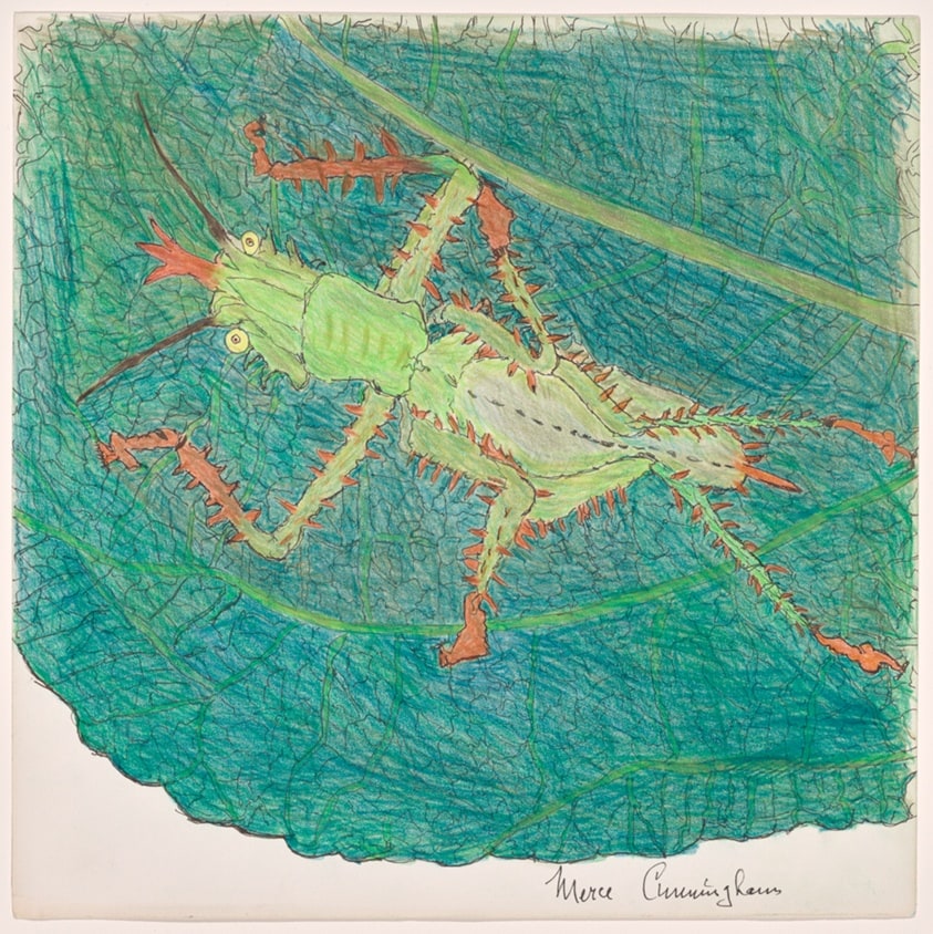 Untitled (Leafcutter)