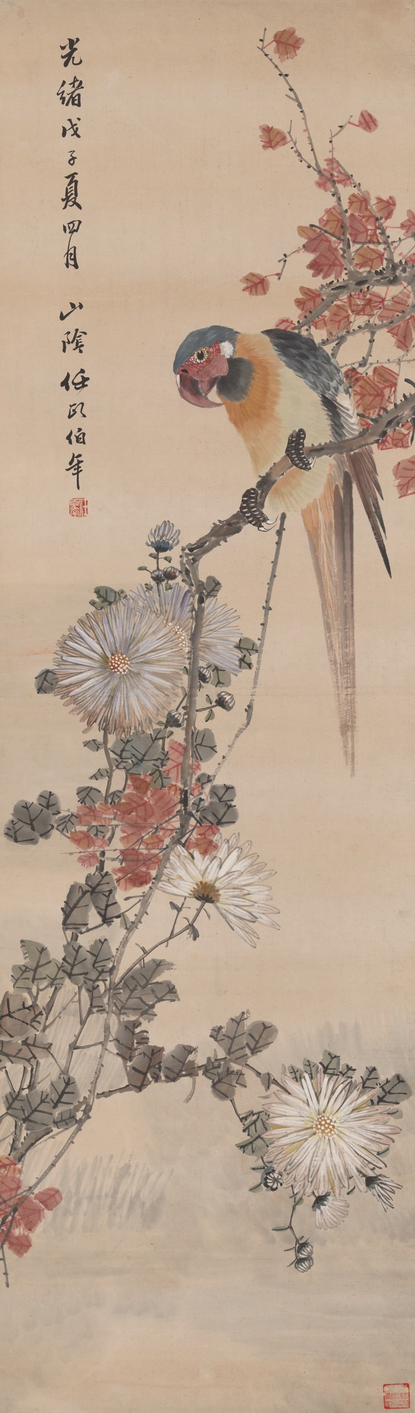 Parrot and Chrysanthemums