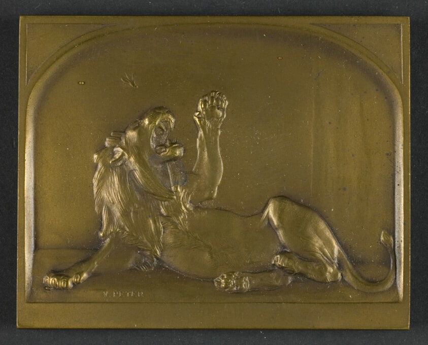 Lion and Fly