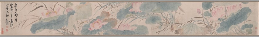 Flowering Lotus