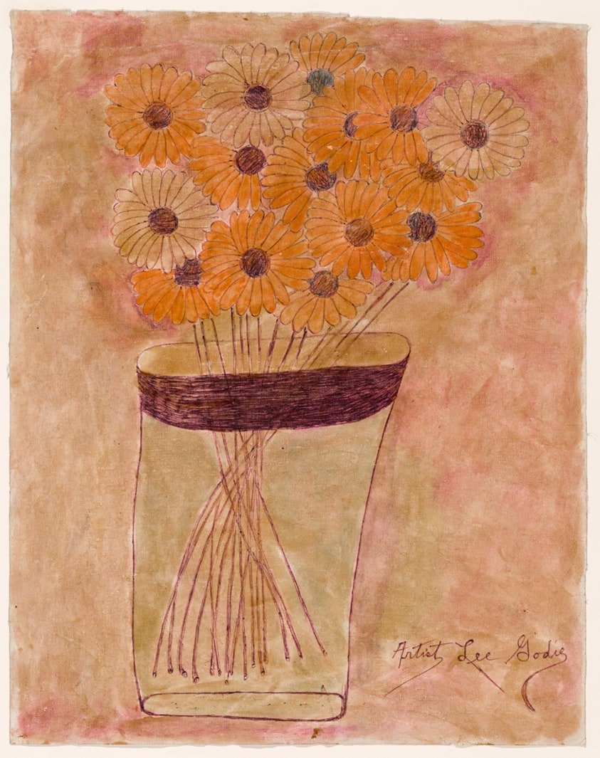 Daisies White and Orange