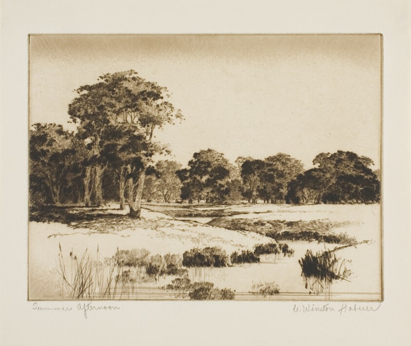 Summer Afternoon