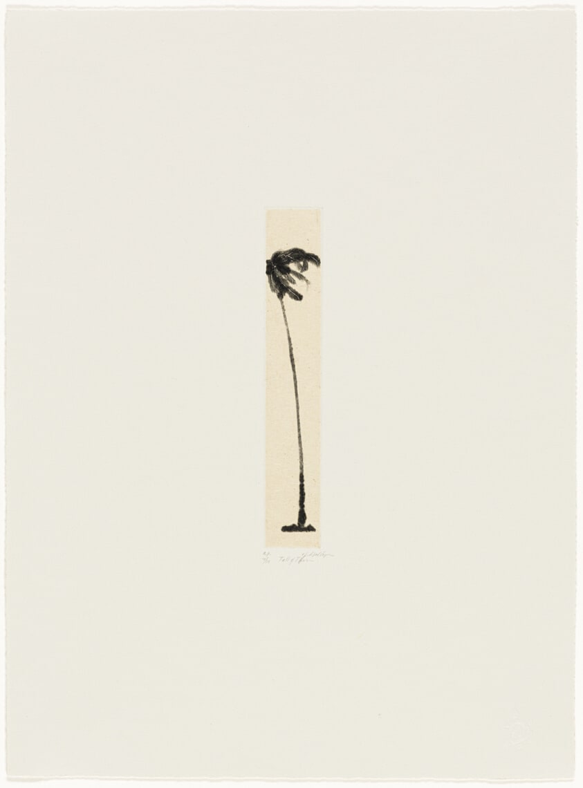 Tall & Thin