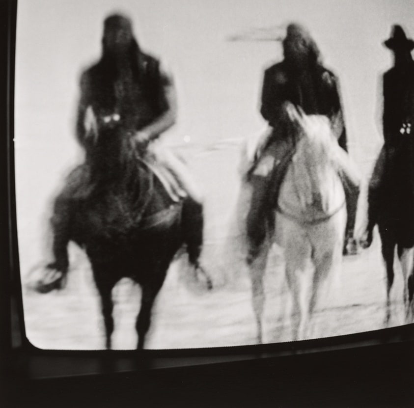 The Brave Ones, from the series Signs of Life