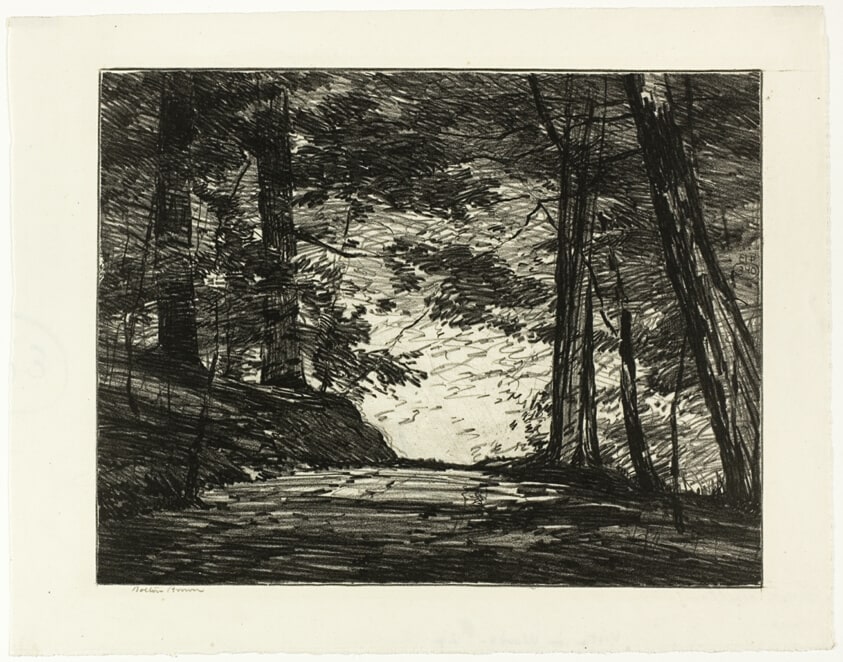 Vista in Woods